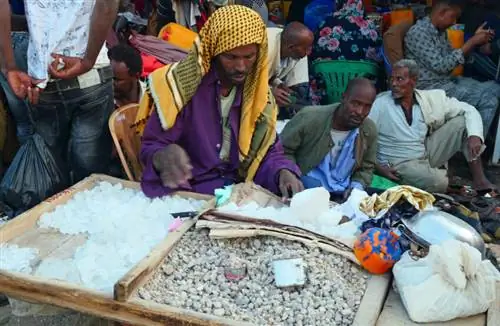 Продавец соли Харгейса