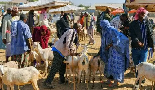 Козий рынок Харгейса