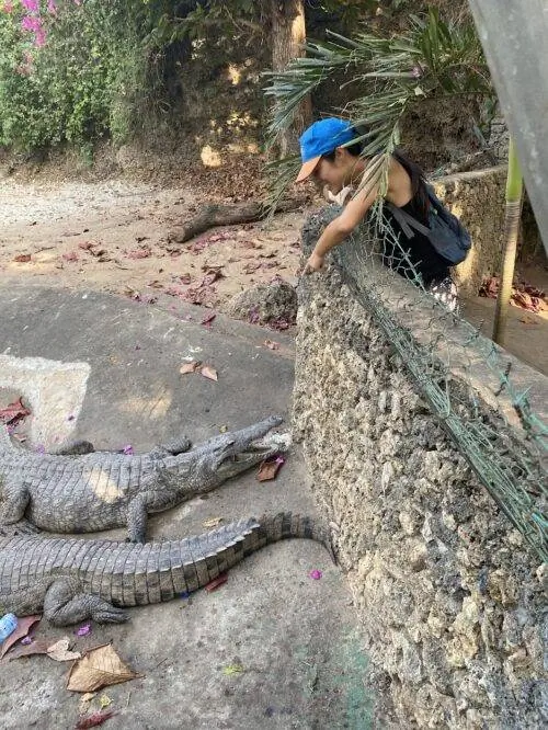 кроксы внизу