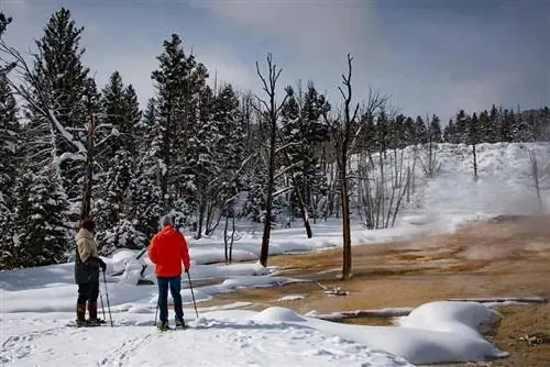 Йеллоустоун: зимнее путешествие