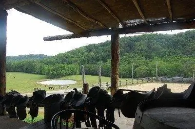 Полированные седла