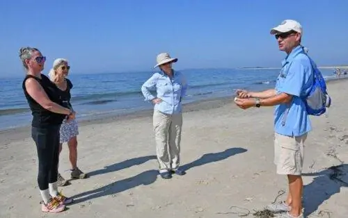 Прогулка по Напатри-Уотч-Хилл