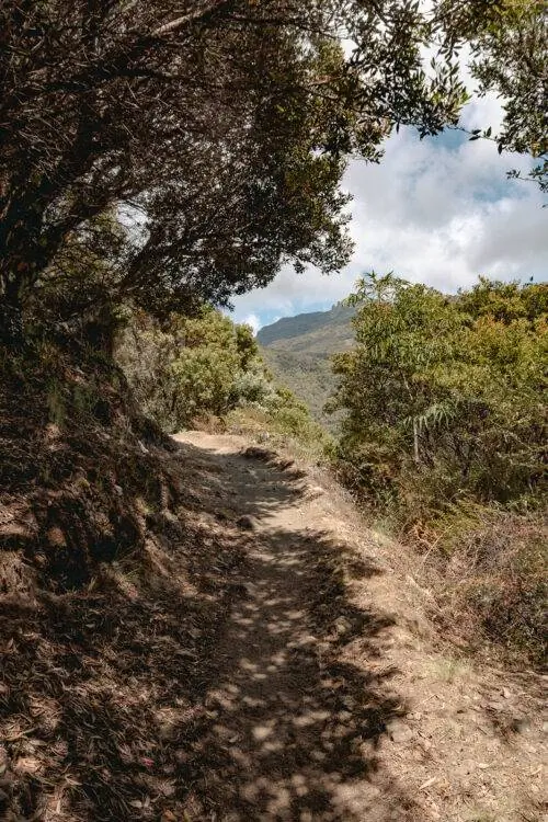 Тень на вершине горы в национальном парке Чиррипо, фотография Сидонии Лоринц, веб-сайт