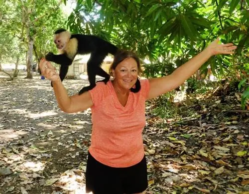 Обезьяний бизнес в Коста-Рике с Морин Хаузерт