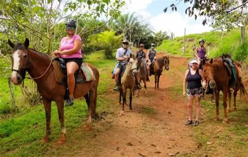 Верховая езда Коста-Рика Джако