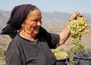 Женщина предлагает виноград прохожим в долине реки Дору.