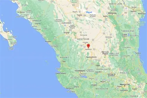 карта Сакатекаса