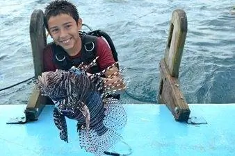 Young Diver помогает контролировать популяцию крылаток