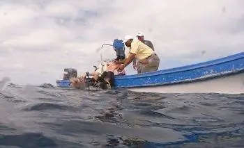 Первое погружение всегда самое страшное!