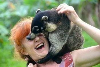 Джинджер со своим якобы дружелюбным питомцем Скутером