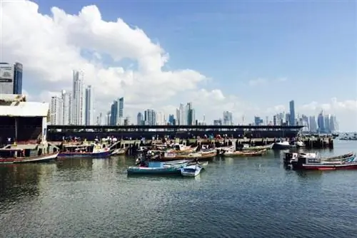 Рыбацкие лодки в доке в Панама-Сити