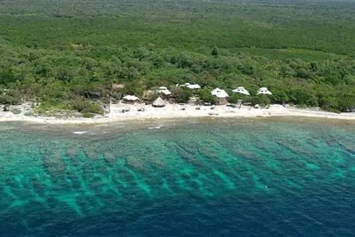 Утила Гондурас: Убей крылатку, спаси моря