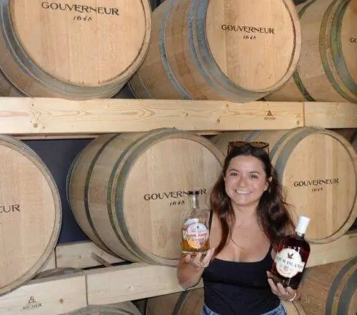 Гувернёр Ром Сен-Мартен Таб Хаузер