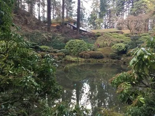 Японские сады предлагают спокойствие и мирную прогулку.