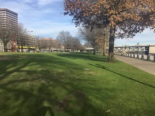 Когда-то шоссе закрывало вид на реку Уилламетт, пока его не убрали в 1980-х годах.