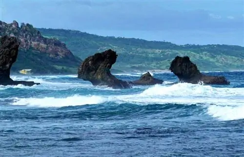 Живописное атлантическое побережье Барбадоса