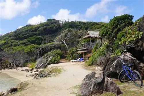 Курорт Palm Island предлагает спокойное уединение