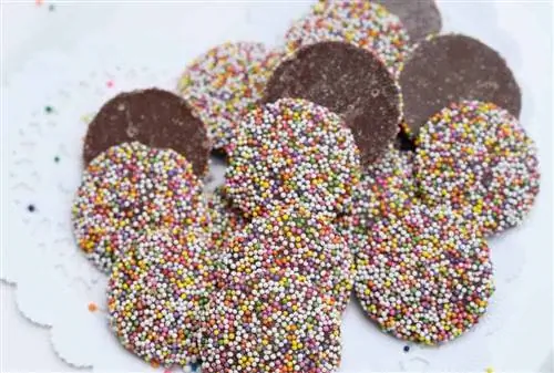 Дюссельдорф подарил мне лучший съедобный сувенир, нонпарейлы, которые можно найти в красочном кондитерском магазине Konditorei Heinemann.