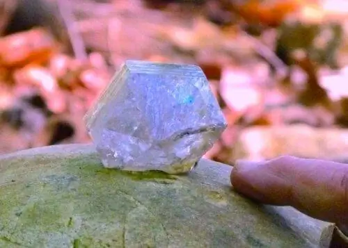 Посетитель добавил необычный кристалл в Tom’s Wall.