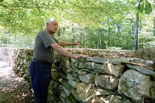 Стена Тома: примечательная часть истории Северной Алабамы