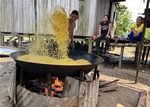 Юка, как и корни, поджаренные здесь, в Мокагуа, является одним из основных продуктов колумбийской диеты.