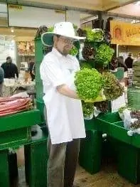 органический салат в музее