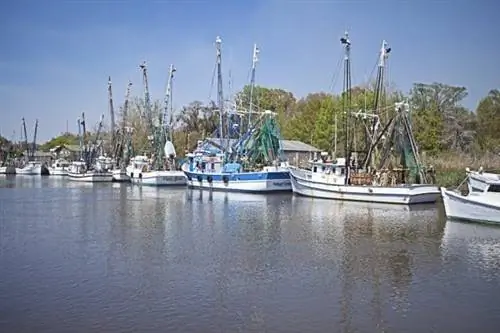 Дариен Уотерфронт