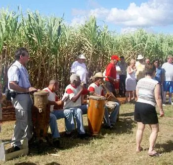 Танцы на полях сахарного тростника в Taino Village Cuba.