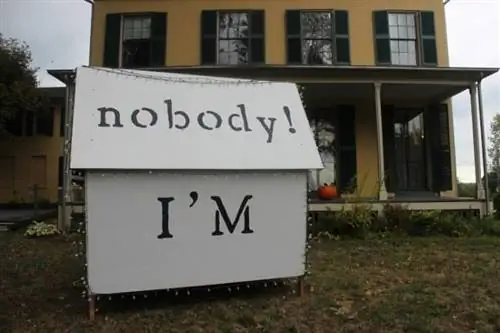 Из стихотворения Дикинсона «Я никто! Кто ты?'