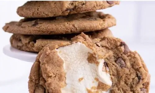 Печенье S'mores от Maya's Cookies Печенье S'mores от Maya's Cookies