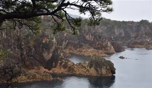 Залив Сенкакуван, остров Садо. Фото Павла Севера.
