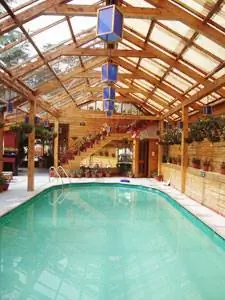 Бассейн в шале Naldehra