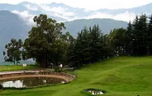 Поле для гольфа