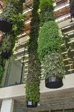 Зеленое головокружение в музее Переса в Майами.