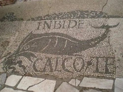 Мозаика торговцев рыбой в Остии Антика.