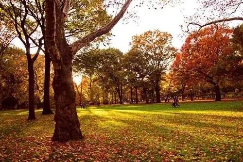 Центральный парк осенью