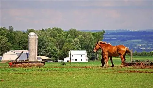 Идеальные сельскохозяйственные угодья штата Нью-Йорк, Фингер-Лейкс