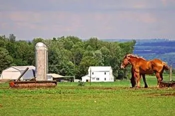 Район Фингер-Лейкс в Нью-Йорке: ешь, пей и веселись