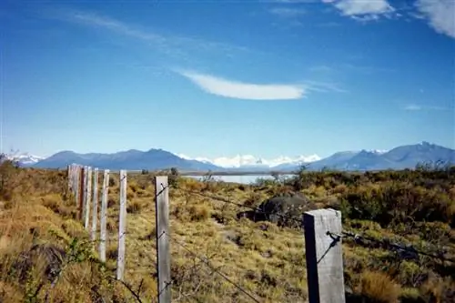 Вид на патагонские луга по дороге к леднику.