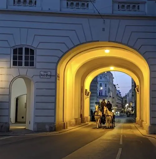 Лошадь и экипаж в Вене, Австрия.