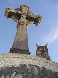 Кладбище Ла Реколета