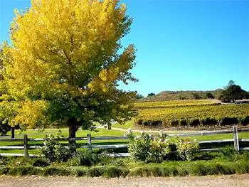 Винная страна в Солванге, Калифорния.