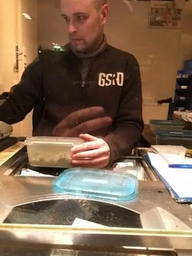 Нидерланды: Роттердам – праздник для глаз