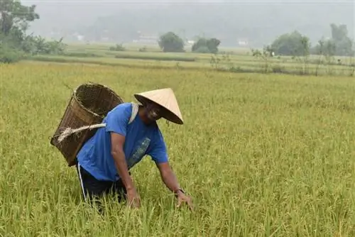 Вьетнам на мотоцикле, от Ханоя до Сайгона.