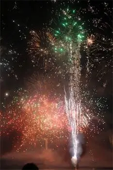 Фейерверк на праздновании Дарвина.