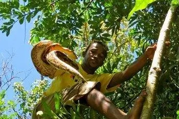 Проводник с удавом в джунглях.