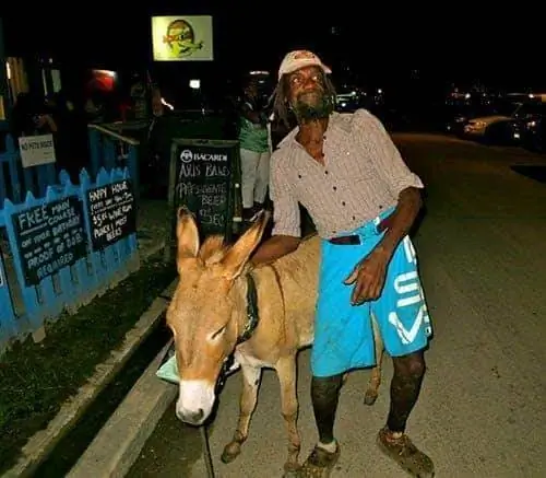 Джеко и его осел.