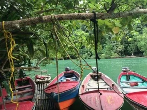 Лодки вдоль Голубой лагуны создают живописный вид на Ямайке.