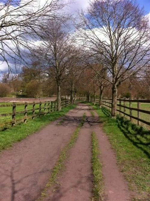 Вход с задней дорожки Данхэма Мэсси.