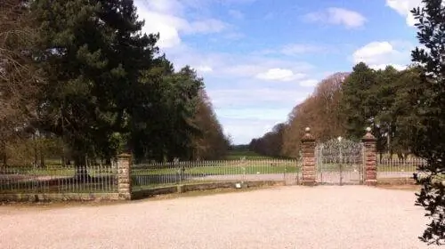 Таттон Парк